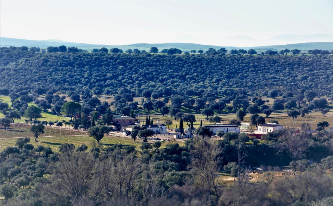 Complejo Valdepusa Toledo